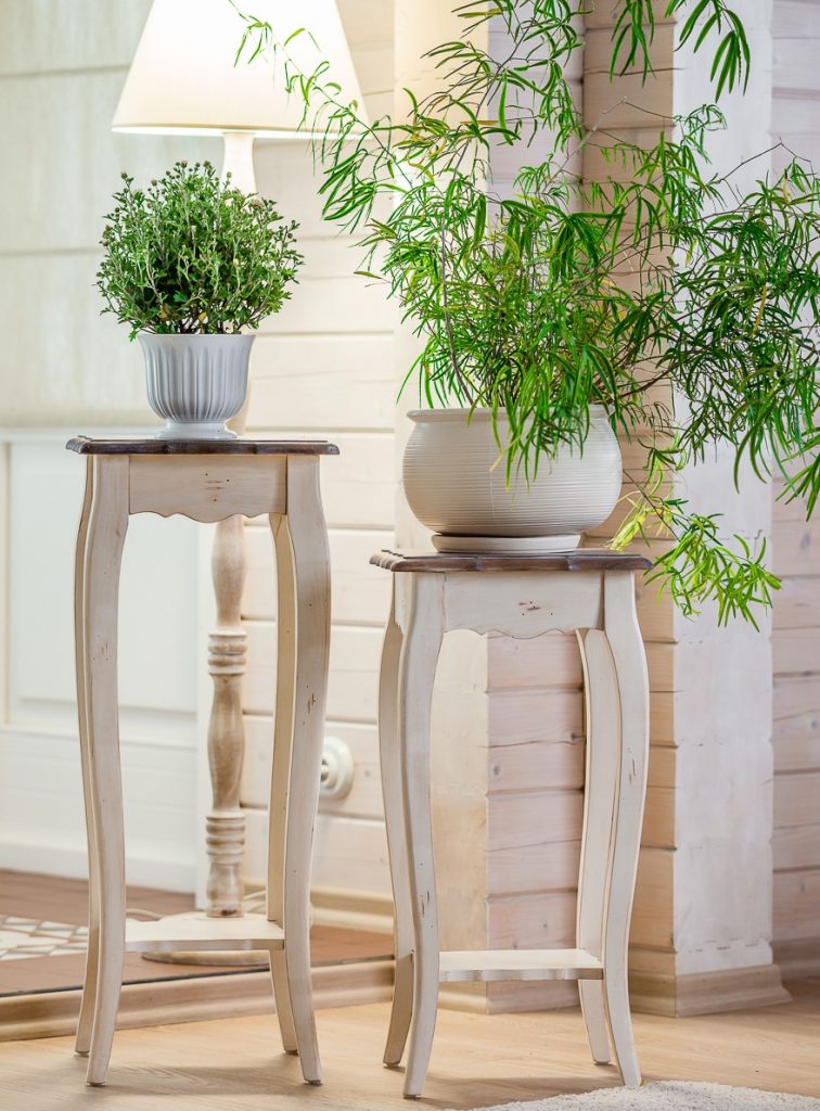 ახალი ავეჯი • New Furniture